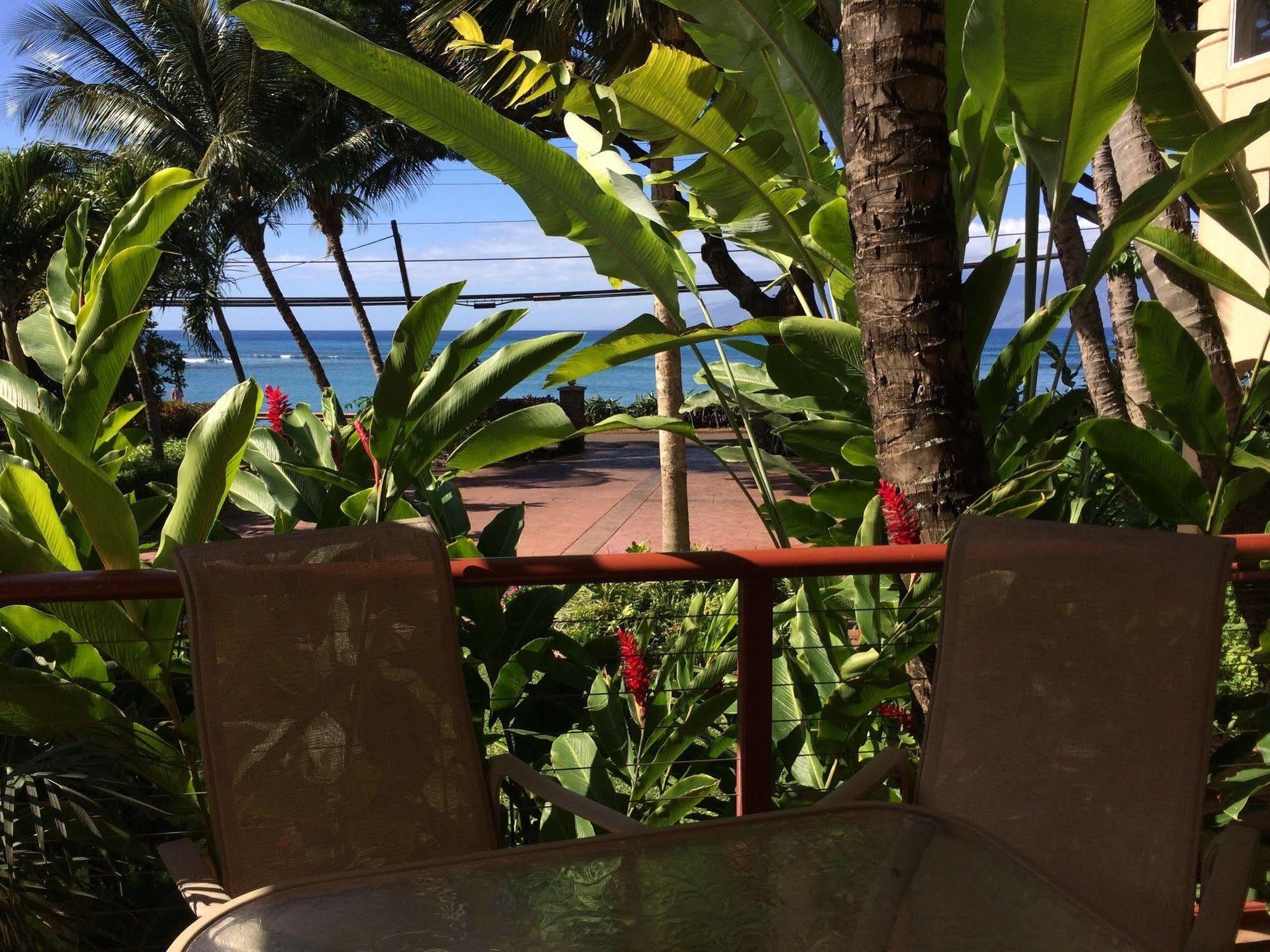 Maui Beach House B & B Kahana Zewnętrze zdjęcie