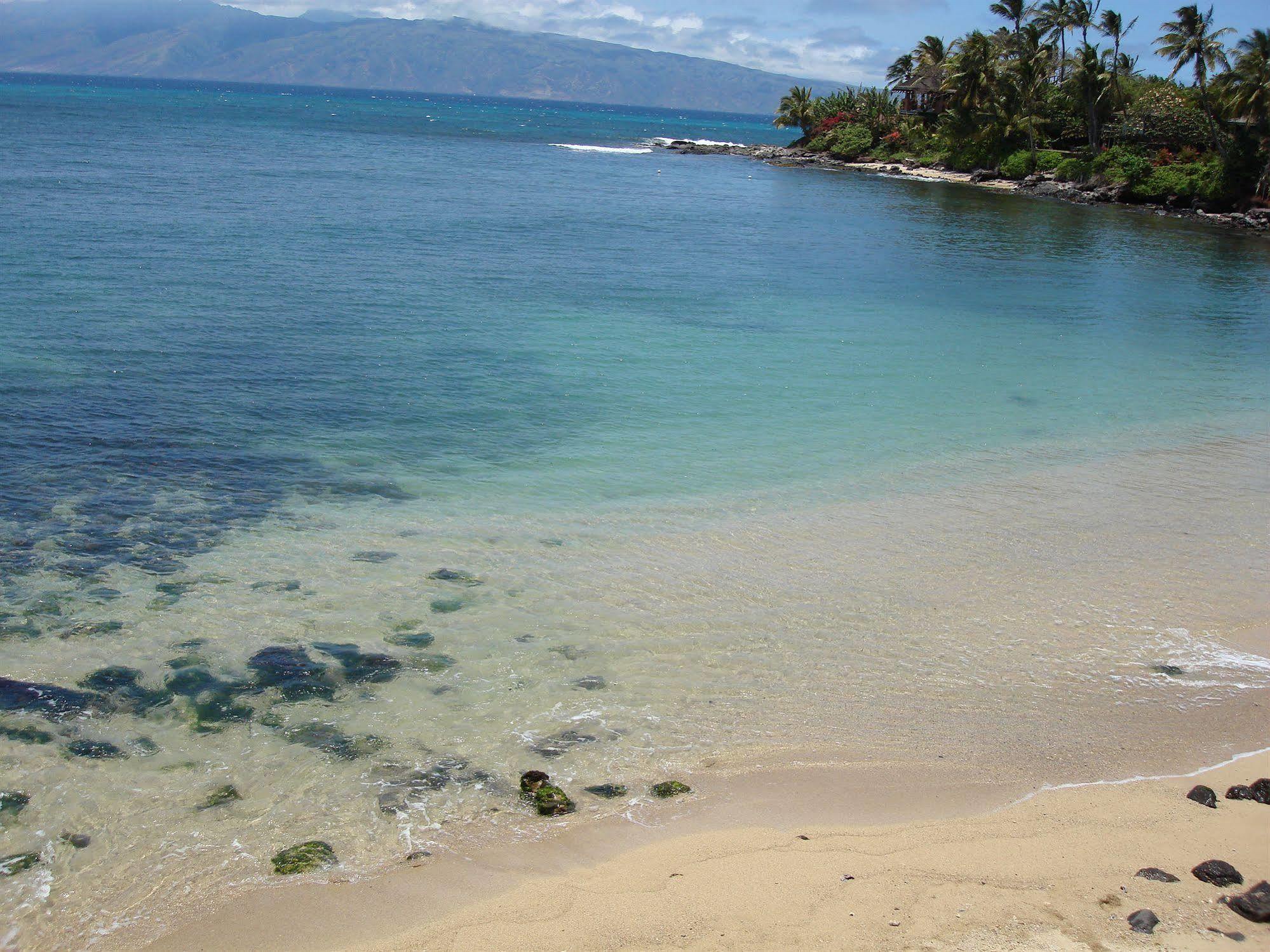 Maui Beach House B & B Kahana Zewnętrze zdjęcie